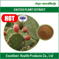 Hoodia Gordonii Cactus Extract